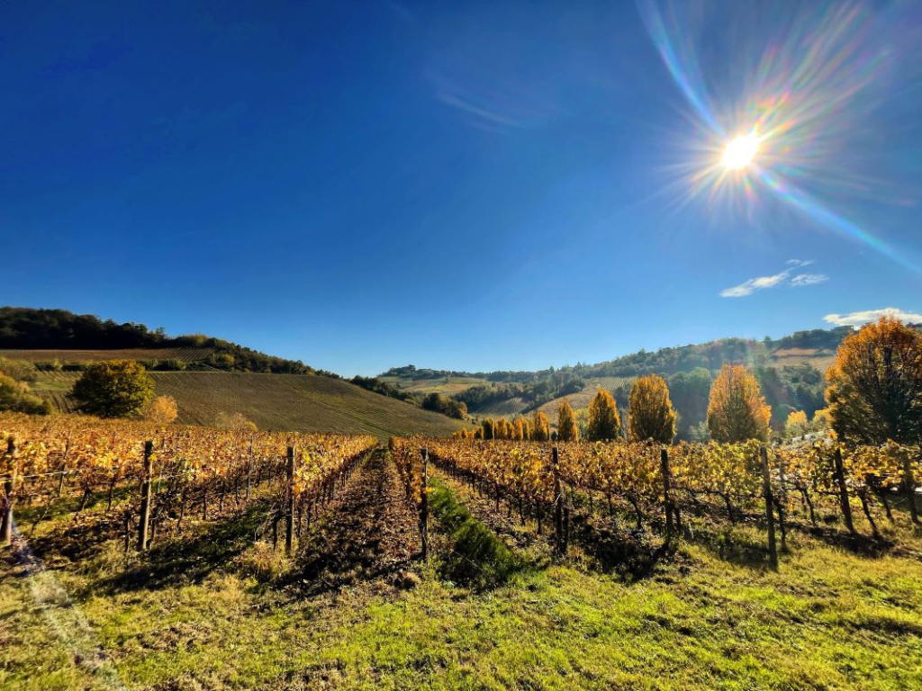 コッレノーヴォ フードライナー イタリアワイン・イタリア食材